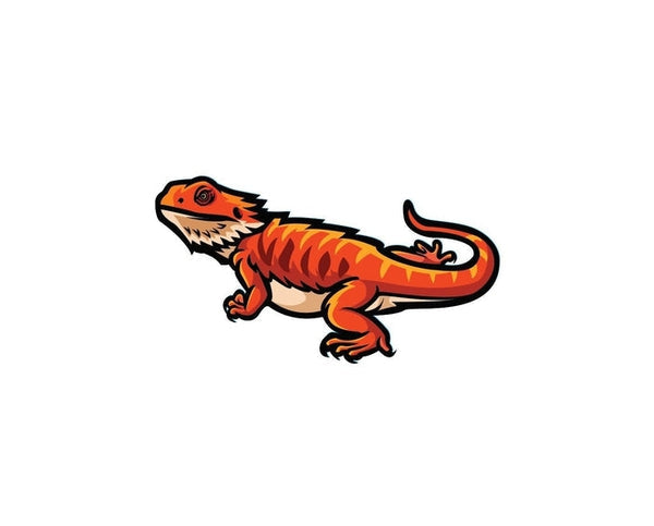 Bearded dragon outlet decal